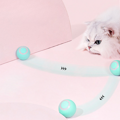 Smart Cat Ball Toy