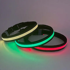 GlowPup: LED Interactive Light Dog Collar