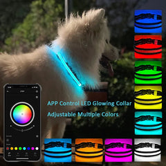 GlowPup: LED Interactive Light Dog Collar