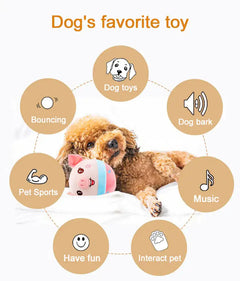 Auto Bounce & Squeak Interactive Dog Toy