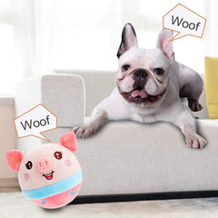 Auto Bounce & Squeak Interactive Dog Toy