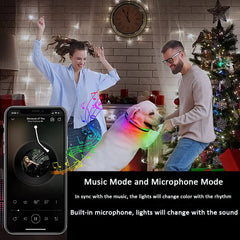 GlowPup: LED Interactive Light Dog Collar